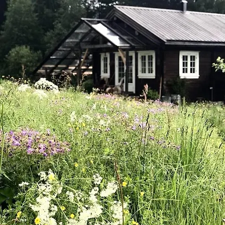 Old Farmstead With Log By River At Lonin Ferienhaus Holvik (Tinn)
